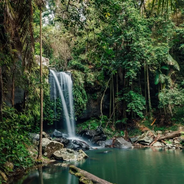 Tamborine Mountain Bus Tour from Brisbane15