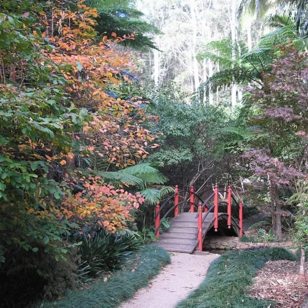 Tamborine Mountain Bus Tour from Gold Coast18