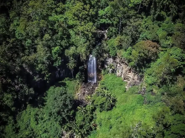 Tamborine Mountain Guide