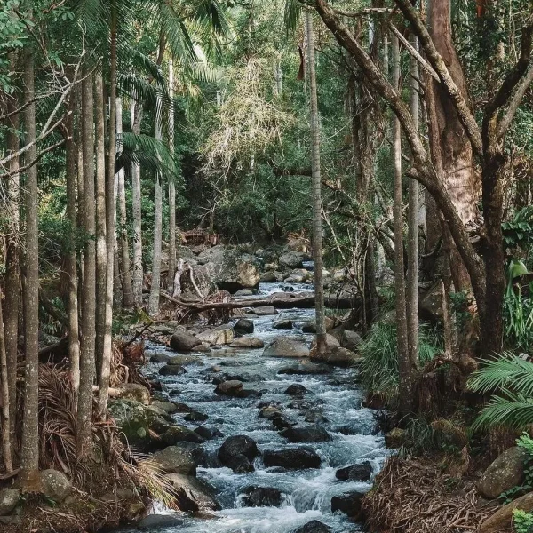 Thunderbird Park Shuttle Bus Tour – Gold Coast