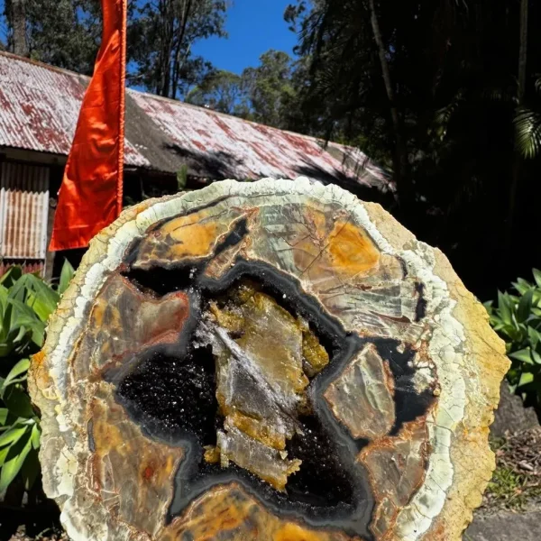 Thunderbird Park Shuttle Bus Trips – Gold Coast