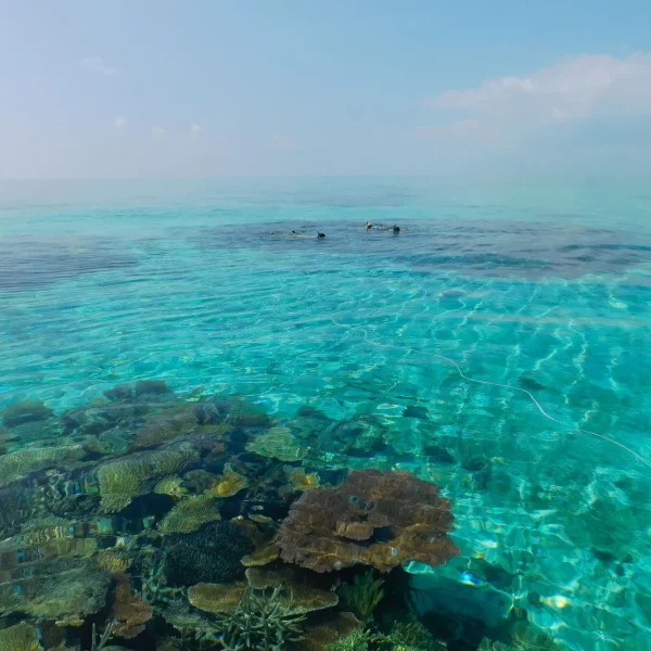 Tour Whitehaven Beach
