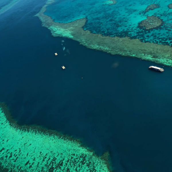 Tours Great Barrier Reef