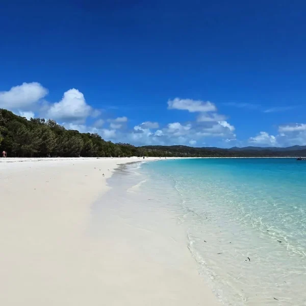 Tours Whitsunday Islands