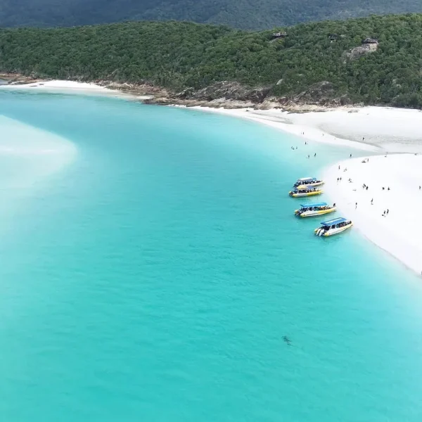 Whitehaven Beach Tour