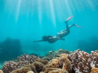 Whitsunday Islands and Great Barrier Reef one day with Fly Raft package