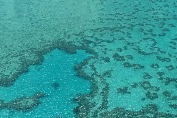 Whitsundays Tour, Fly And Raft Package + Ocean Rafting