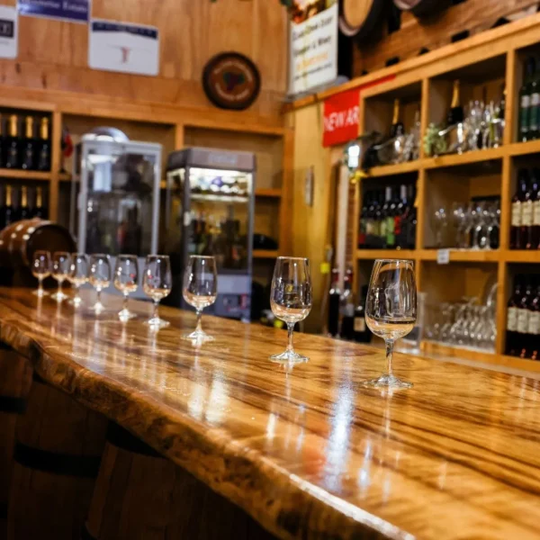 Wine Tasting Bus Trip from Gold Coast