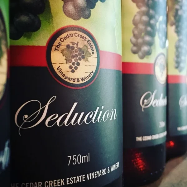 Wine Tasting from Gold Coast