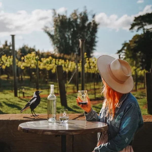 Witches Falls Winery tour from Brisbane