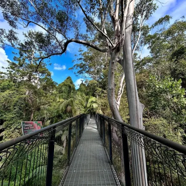 bus tours gold coast