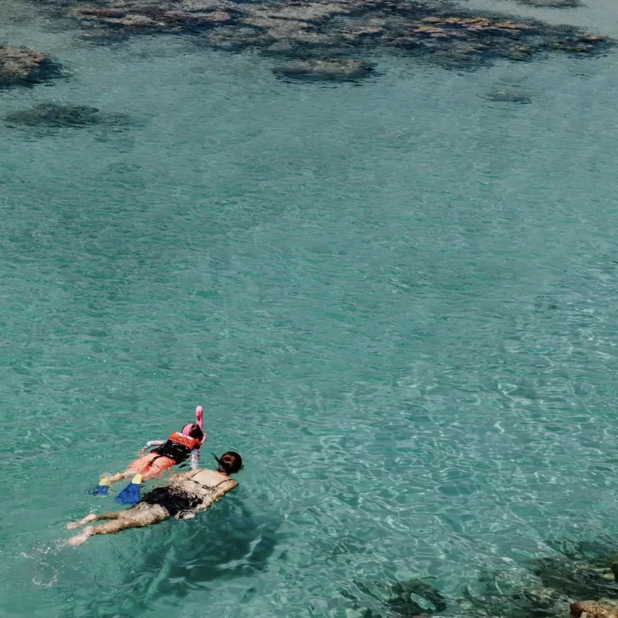child spotting reef fish on glass-bottom boat