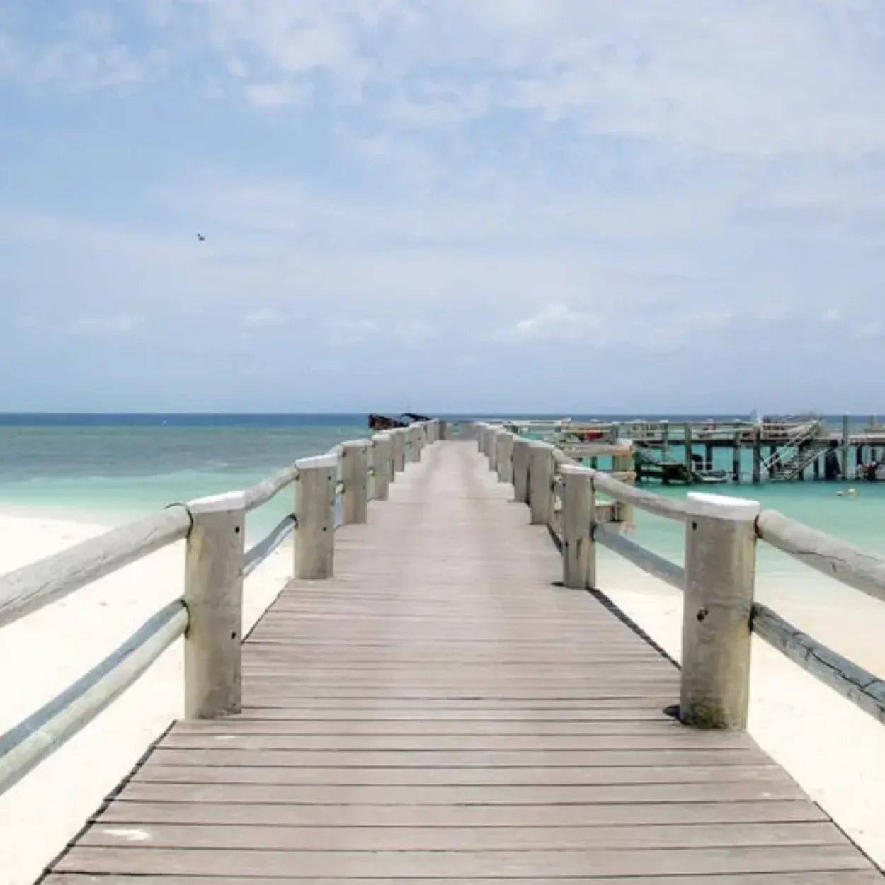coral cay walk during low tide