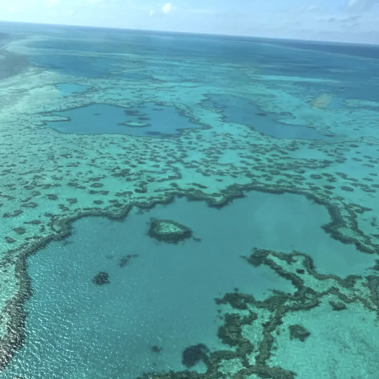 best time to see great barrier reef best time to see great barrier reef