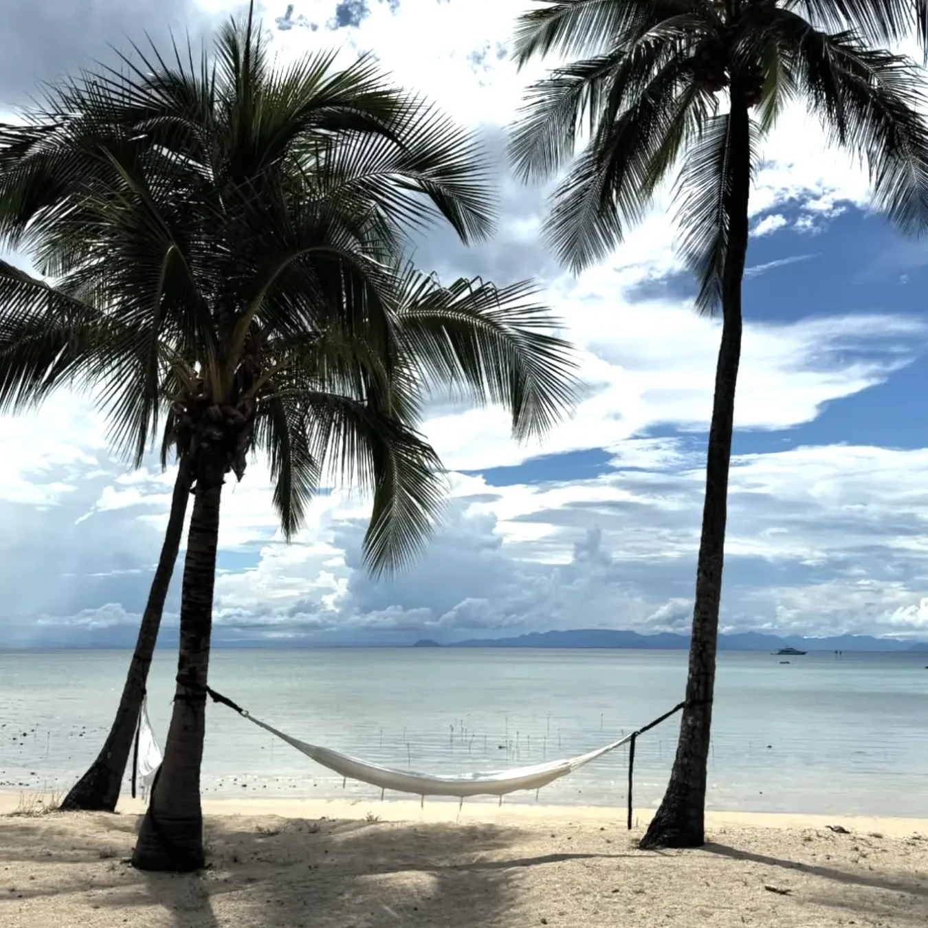 eco tourism reef accommodation
