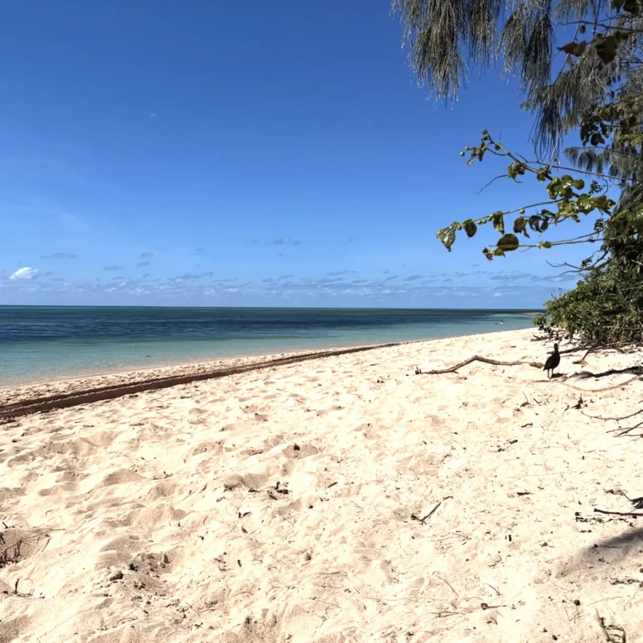 family walking along sandy beach at Green Island