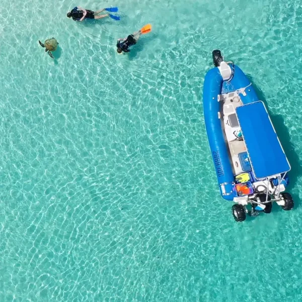 fraser island whales