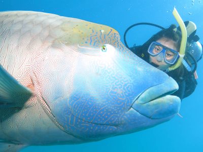 gagi tour outer reef cairns