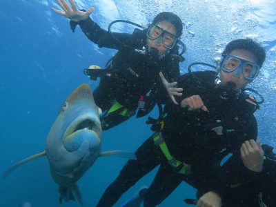 gagi tour outer reef cairns