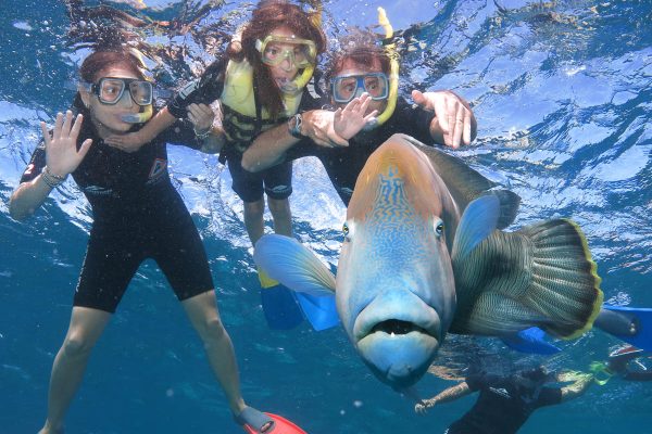 gagi tour outer reef cairns