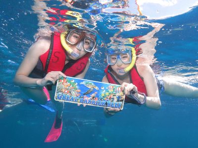 gagi tour outer reef cairns