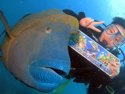 gagi tour outer reef cairns