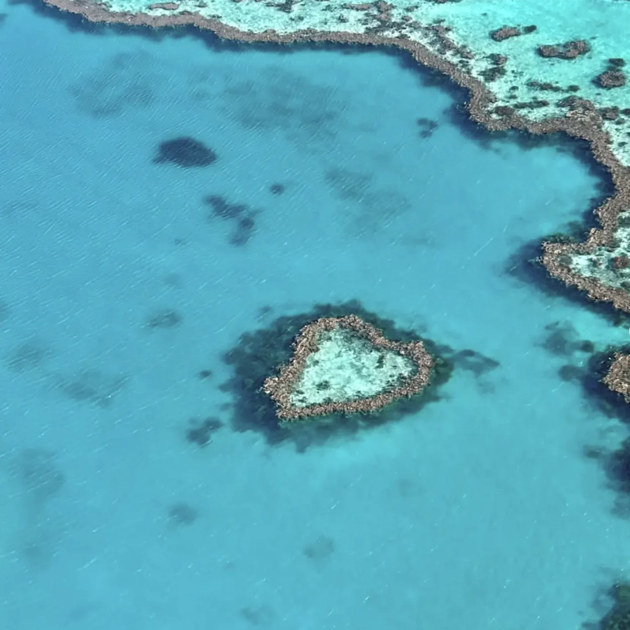 best time to visit great barrier reef best time to visit great barrier reef