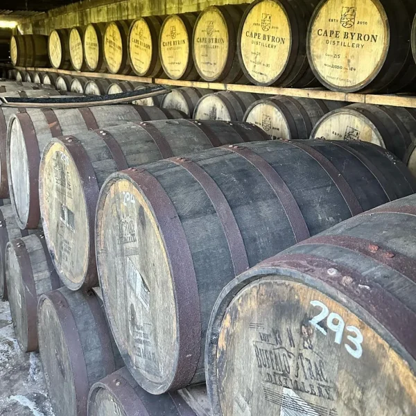 glow-worm caves tamborine mountain tours Brisbane