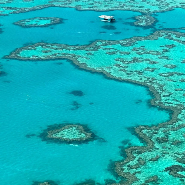 great barrier reef day tours