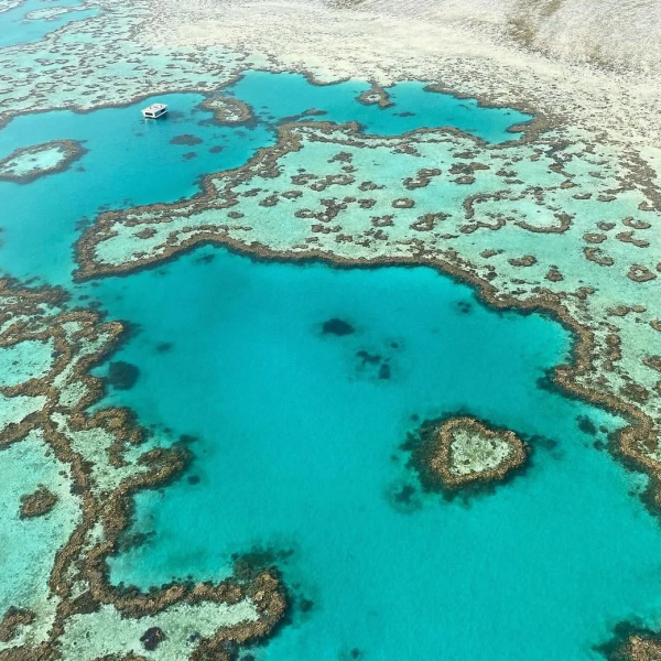 great barrier reef day trips
