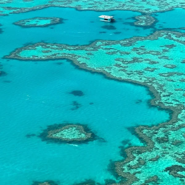 heart reef flight