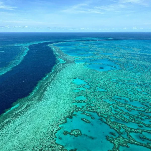 heart reef helicopter