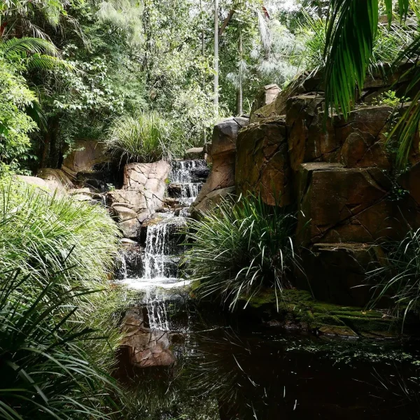 mount tamborine glow worms tour Brisbane