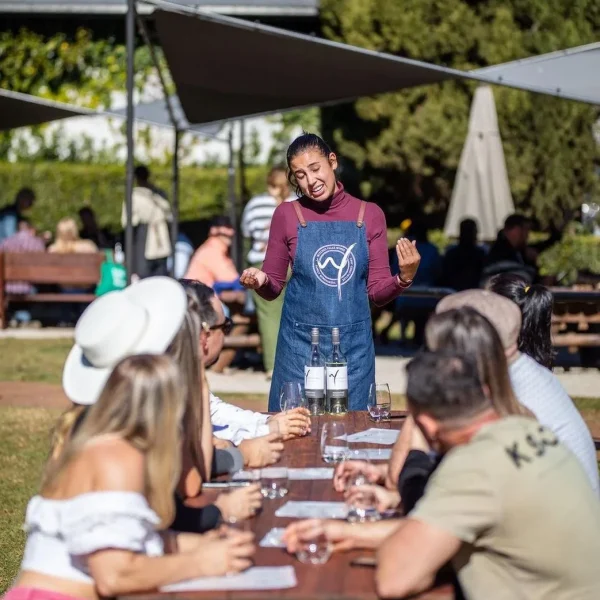 mt tamborine glow worms tour Brisbane