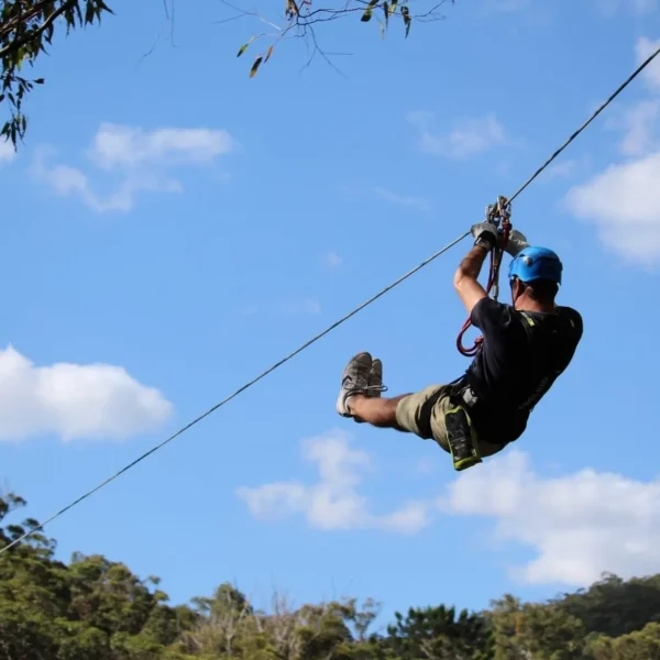 mt tamborine tours from gold coast