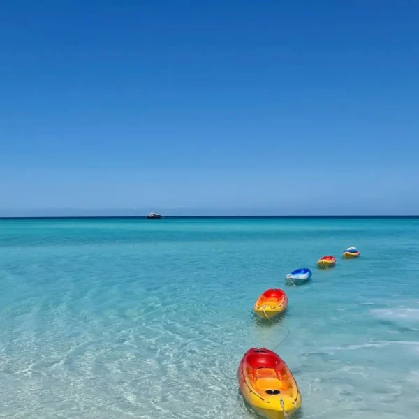 remote fraser island and whale experience