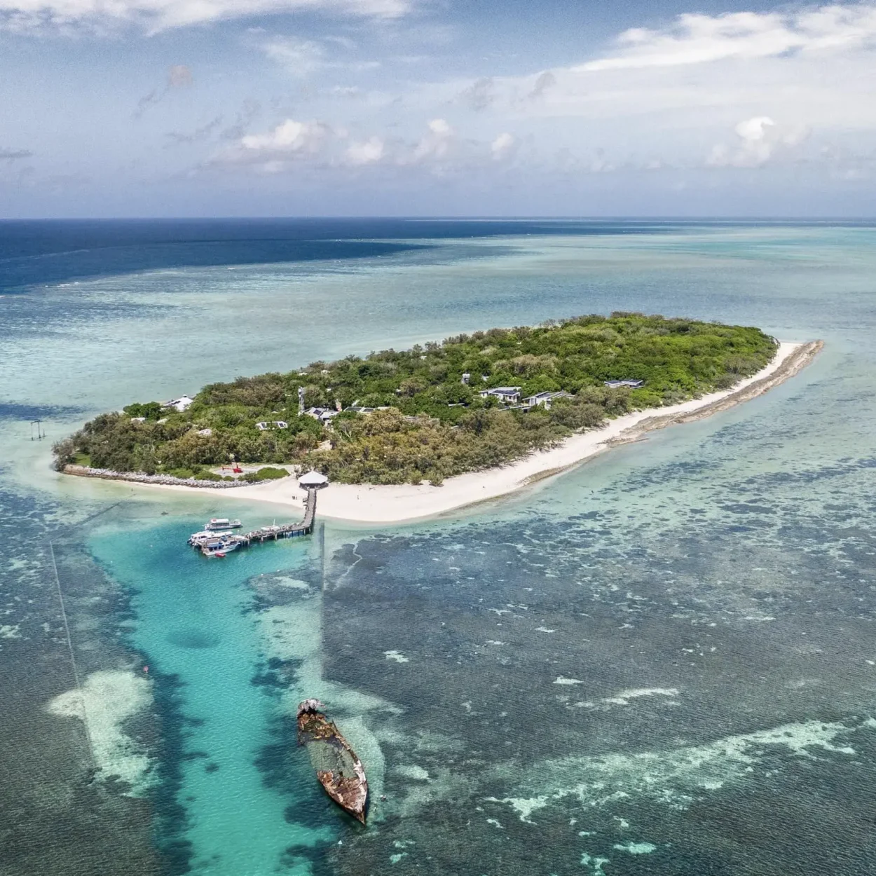 snorkeller exploring coral reef off heron island