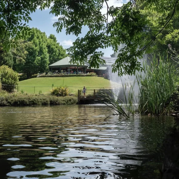 tour glow worm gold coast