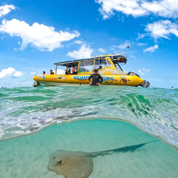 tours of the great barrier reef