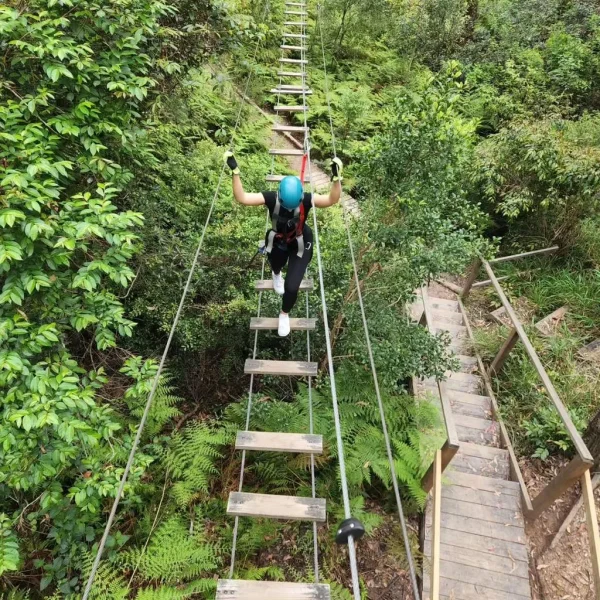 trip Thunderbird Park Shuttle Bus – Gold Coast