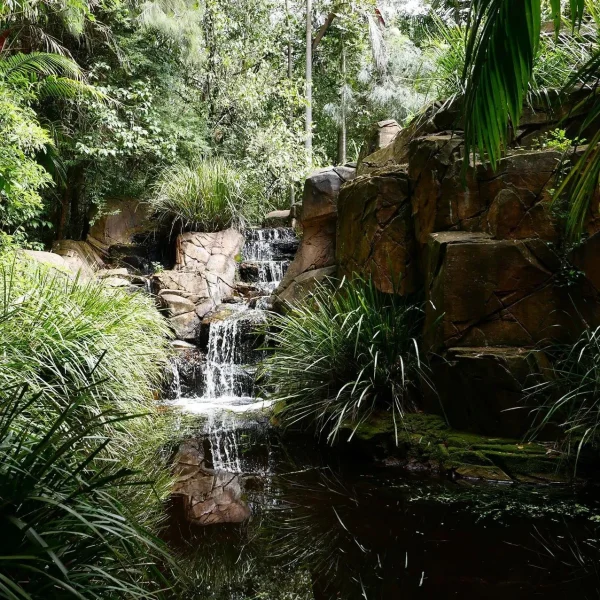 trips Tamborine Mountain Bus from Brisbane