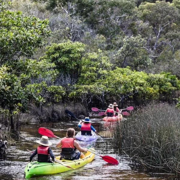 whale season fraser island