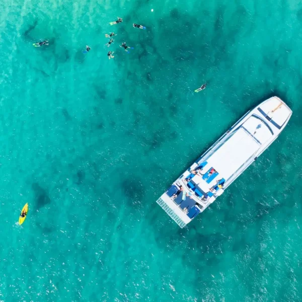 whale watching tours hervey bay