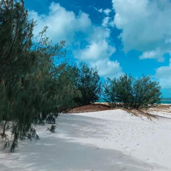 whitsunday islands boat tour