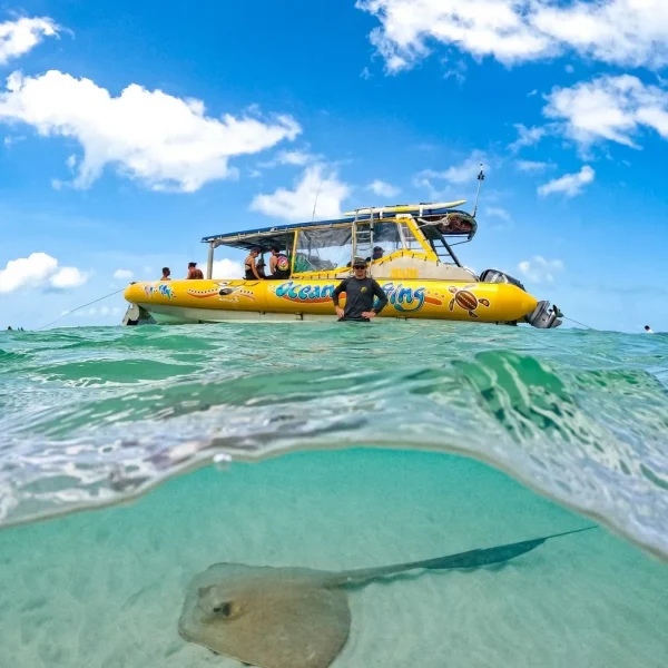 whitsunday islands tours from airlie beach