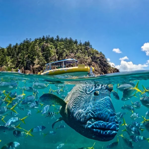 whitsunday islands travel